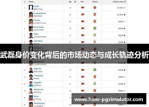 武磊身价变化背后的市场动态与成长轨迹分析