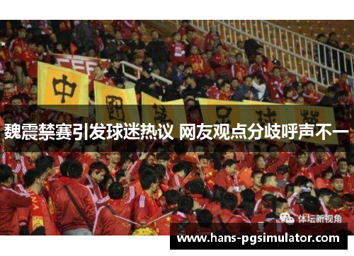 魏震禁赛引发球迷热议 网友观点分歧呼声不一