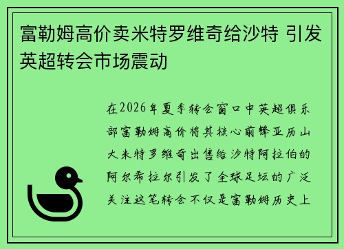 富勒姆高价卖米特罗维奇给沙特 引发英超转会市场震动